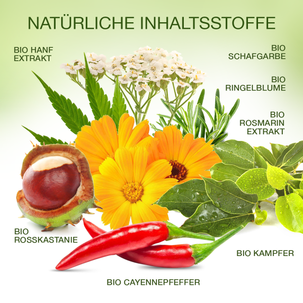 Bio 𝐇𝐀𝐍𝐅 Pferdesalbe Für Mensch Extra Stark WÄRMENDER EFFEKT- Arnika & 18 Bio-Pflanzen-Extrakten bei Knie-, Gelenk-, Nacken- u. Muskelschmerzen, sowie Arthrose u. Rheuma-Ohne Tierversuche