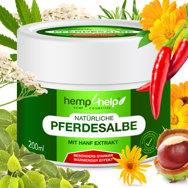Bio 𝐇𝐀𝐍𝐅 Pferdesalbe Für Mensch Extra Stark WÄRMENDER EFFEKT- Arnika & 18 Bio-Pflanzen-Extrakten bei Knie-, Gelenk-, Nacken- u. Muskelschmerzen, sowie Arthrose u. Rheuma-Ohne Tierversuche